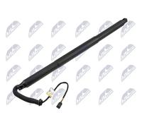 Motore sollevamento portellone bagagliaio Sx elettrico AE-VW-127 NTY
