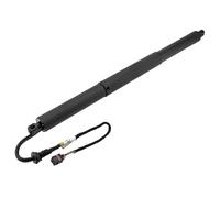 Motore sollevamento portellone bagagliaio Sx elettrico-pneumatico AE-AU-099 NTY