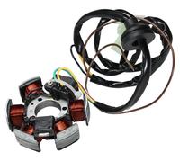 Motore Stator TNT, 78201800 per Malaguti F12 Phantom LC 50 cc costruito nel 2000