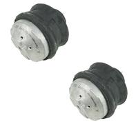 Motore Supporto Sospensione Del 2x per Mercedes W202 W208 W210 S202 R170 AIC