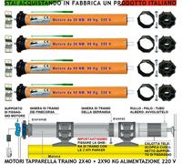 MOTORI TAPPARELLA 220 V 2X20-2X50 NM TRAINA SERRANDA DUE DA 40 KG E DUE DA 90 KG