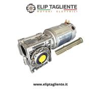 MOTORIDUTTORE 12V 630W 54RPM DC VERRICELLO SALPA PALAMITO SALPA RETE