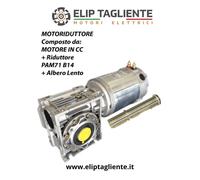 MOTORIDUTTORE 12V 800W 65 RPM DC VERRICELLO SALPA RETE TRAZIONE A BATTERIA