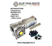 MOTORIDUTTORE 24V 700W 60RPM DC TELEINVERTITORE A RELE E TELECOMANDO WIRELESS