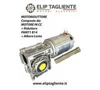 MOTORIDUTTORE 36V 700W 60RPM DC GEARMOTOR TRAZIONE A BATTERIA