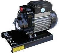 Torchio Pasta Reber 9602N-8400N - 600W ad induzione