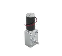 Motoriduttore a Vite Senza Fine Micromotore CC a vite senza fine 12V~24V invertibile 100KG.CM Scatola ingranaggi in metallo ad alta potenza autobloccante(160RPM,24V)