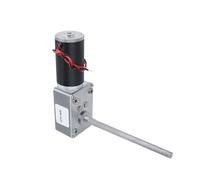 Motoriduttore a Vite Senza Fine Motore a spazzole CC con riduzione a vite senza fine, albero filettato, 12 V/24 V, coppia elevata, 100 kg.cm, autobloccante(160RPM,24V)