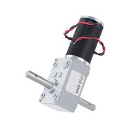 Motoriduttore a Vite Senza Fine Motore di riduzione micro CC a doppio albero lungo con ingranaggio a vite senza fine 12V~24V 100KG.CM avanti e indietro(160RPM,24V)