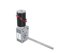 Motoriduttore a Vite Senza Fine Motore riduttore a spazzole Worm Screw 5840-31ZY-M8 12V/24V Coppia elevata 100KG.CM 470RPM~7RPM(160 RPM,24V Bracket Motor)