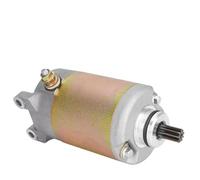 Motorini D'Avviamento Motorino Di Avviamento 250cc Motore CN250 CH250 Per CF Moto V3 V5 Per ATV Per Quad Sport Dune Buggy Go Kart 0110-093000 Motore Di Avviamento