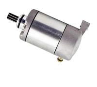 Motorini D'Avviamento Motorino Di Avviamento 3090188 3084981 Per Polaris Per ATP 330 500 Per Big Per Boss Per Magnum Per Scrambler Motore Di Avviamento