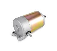 Motorini D'Avviamento Motorino Di Avviamento Moto Per CFMOTO Per Cruz 250 2012-2013 Per V3 V5 Auto 250 Parti Del Motore 0110-093000 Motore Di Avviamento
