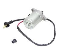 Motorini D'Avviamento Motorino Di Avviamento Per Can-Am DS70 DS90 69CC 70CC 89CC 90CC 2008-2015 12V Ricambi Per Motociclette V31200DGF000 Motore Di Avviamento