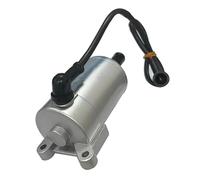 Motorini D'Avviamento Motorino Di Avviamento Per Moto 11 Denti Motor Racing Per ZS166FMM Per CB250D-G Per BSE Per KAYO T2 T4 Per BSE Per ZongShen Motore Di Avviamento