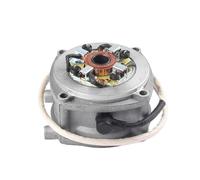 Motorino Avviamento Moto Motorino Di Avviamento A Polvere Motore Elettrico Accessori Ricambio PER 2 Tempi PER 43cc (40-5) PER 49cc 445 PER Pocket Bike
