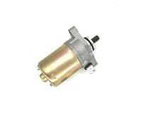Motorino d'avviamento per Scooter Elettrico Polaries Dinli Jog 90 2 Tempi 50cc con Cavo (Oro)