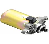 Motorino di avviamento a 11 denti per Piaggio, Gilera, Kymco, SYM in piedi