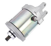 Motorino di avviamento compatibile con MXU 250 300 300R | Compatibile con Kymco Maxxer, Mongoose, SYM Quad Lander 250 300 300S, KXR250, E-Ton Vector 250 300, Gamax AX250
