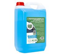 MOTORKIT MOT20326 Liquido tergicristalli Detergente lavavetri Liquido lavavetri Liquido per tergicristalli