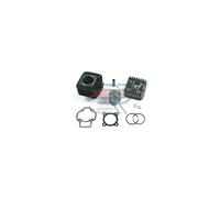 MOTORPARTS GRUPPO TERMICO D.48 SFERA - ZIP "EVOLUTION" | KT00086 | MotoCharlie