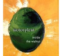 Motorplant - Inside the Walnut