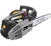 Motosega a scoppio leggera da potatura Alpina APR 25 C - barra carving da 25 cm