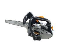 Motosega a scoppio leggera da potatura Alpina APR 25 C - barra carving da 25 cm