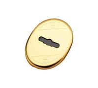 MOTTURA ARMADIO INTERNO INGRESSO 52x70 mm ORO FINITURA OTTONATA