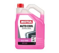 MOTUL 112648 Antigelo 5L rosa
