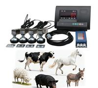 Moubhjd Kit Bilancia Bestiame Ad Alta Precisione, Kit Bilancia Con Cella Carico Per Piattaforma Con Indicatore Pesatura, Con Cella Carico A Compressione Su Trave In Acciaio