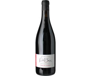 Moulin à Vent 2023 - Domaine Des Vignes du Tremblay - Paul et Eric Janin Moulin à Vent