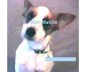 Moulin, Marc - Entertainment (Purple Vinyl)