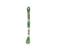Mouliné Spécial DMC Matassina Ricamo 117 mc Tonalità Verde Scuro