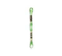 Mouliné Spécial DMC Matassina Ricamo 117 mc Tonalità Verde Scuro