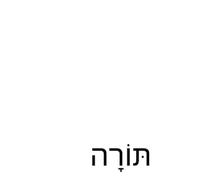 Mount Build The Torah (Copertina rigida)