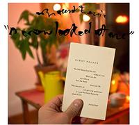 Mount Eerie - A Crow Looked At Me