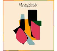 Mount Kimbie - Cold Spring Fault Less Youth (2 LP)