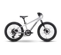 Mountain bike per bambini raymon yanga 20 pro shimano 8v 20 grigio 2027