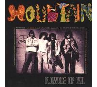 MOUNTAIN – Flowers of Evil – Island – 85 849 IT