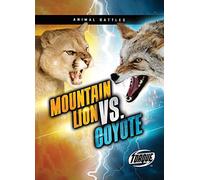 Mountain Lion Vs. Coyote