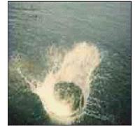 Mountain Man Made The Harbor (CD)