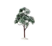 Mountain Pine, Extra Large Cod. 94391