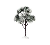 Mountain Pine Large Cod. 74174