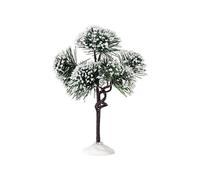 Mountain Pine Medium Cod. 74175