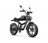 Mountainbike DUOTTS F20 1000 W