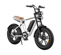 Mountainbike ENGWE M20 (batteria singola)