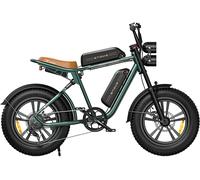 Mountainbike ENGWE M20 (doppia batteria)