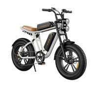 Mountainbike ENGWE M20 (doppia batteria)