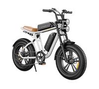 Mountainbike ENGWE M20 Dual battery